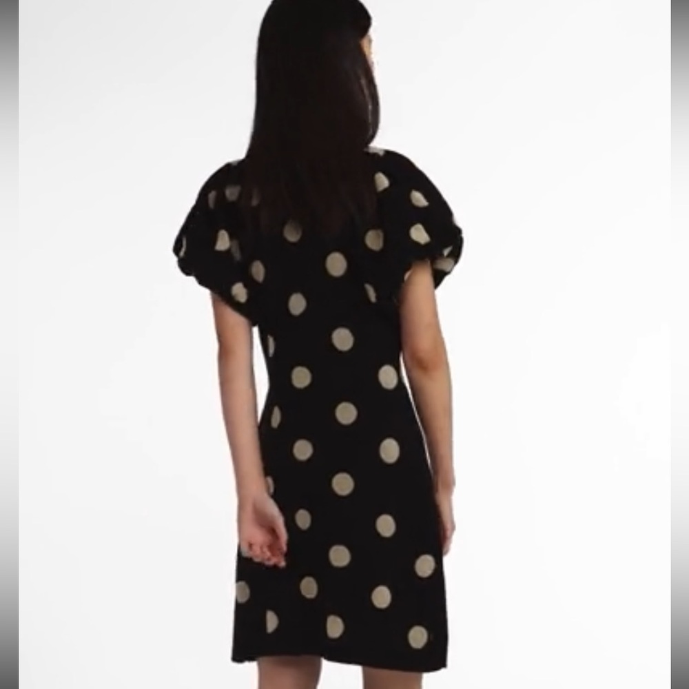 SCOOP NWT Dress with Tan Polka Dots - Puff Sleeve Fit Flare Shift Dress sz 12/14 - Picture 4 of 10
